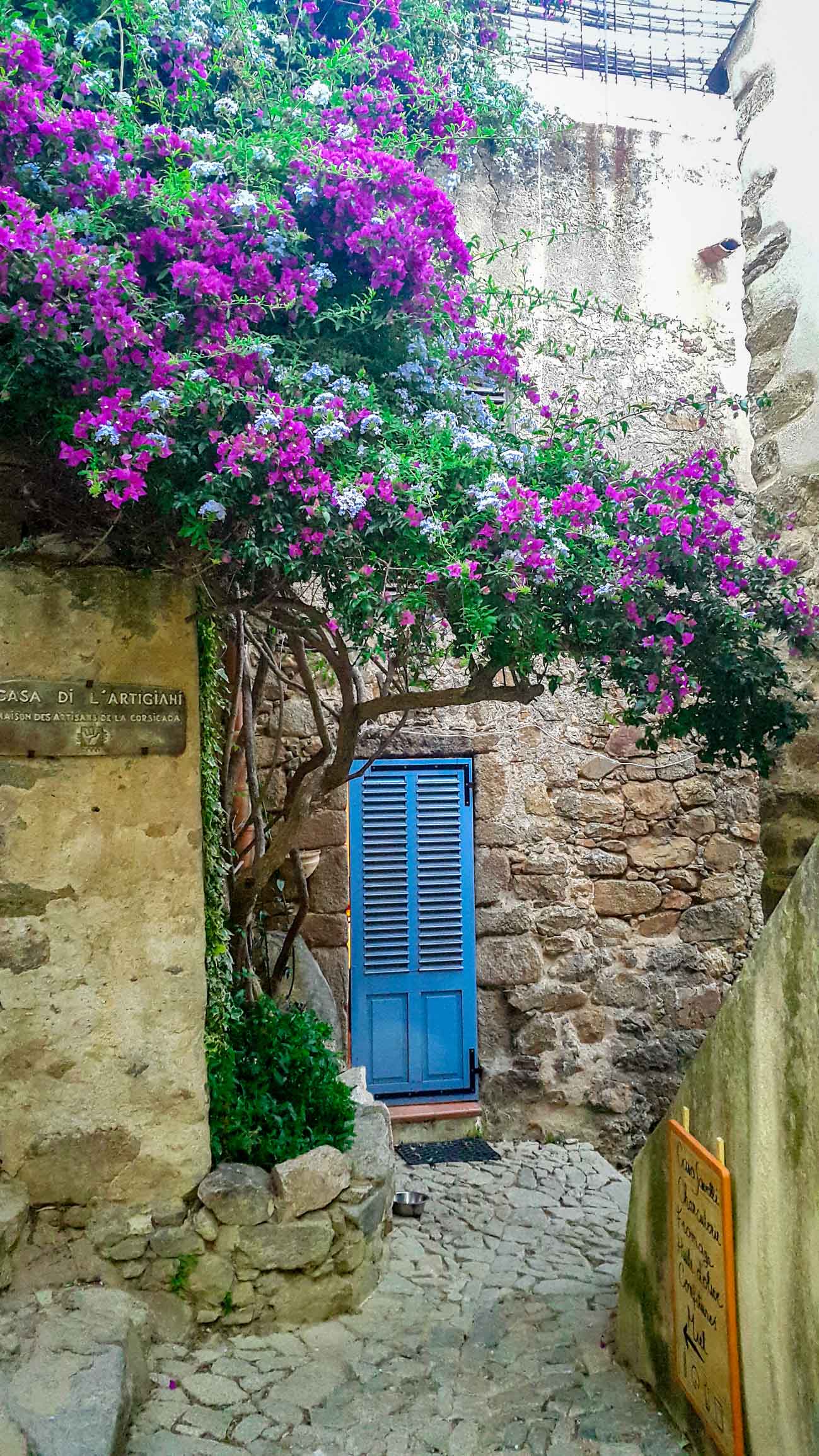 Photo - Balagne Pigna balagne photo-ruelle-fleurie-hotel-balagne